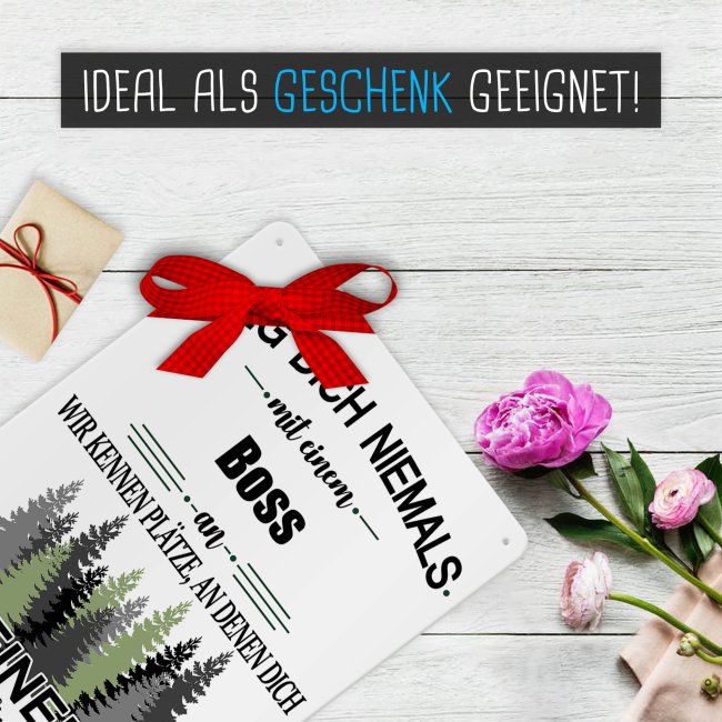 Blechschild - Leg dich niemals - Boss - A4