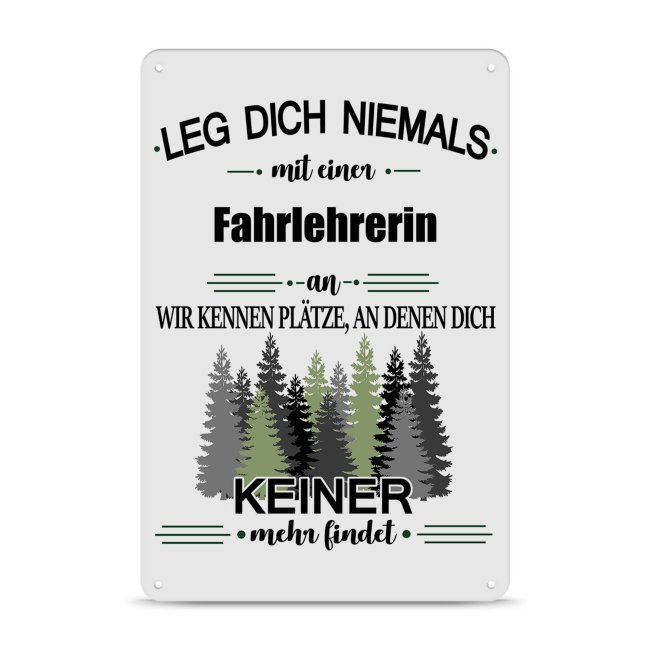 Blechschild - Leg dich niemals - Fahrlehrerin - A4