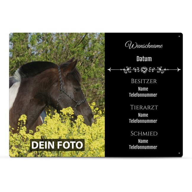 Boxenschild f&uuml;r Pferdebox mit personalisierbaren Daten - Foto,Name, Besitzer, Tierarzt, Schmiede