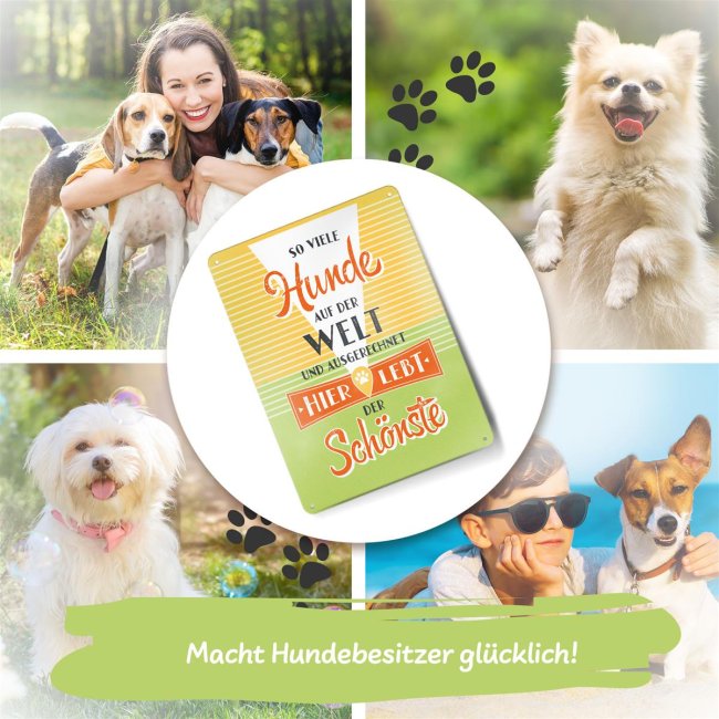 Hundeschild - Hier lebt der sch&ouml;nste Hund