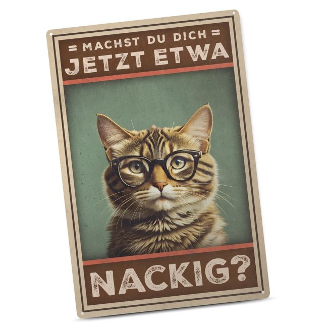 Blechschild - Machst du dich etwa nackig?