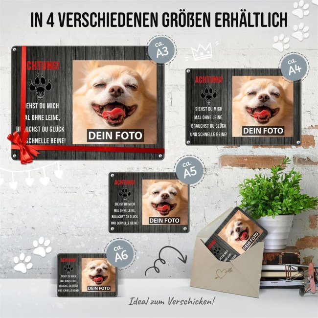 Blechschild mit Hundefoto und Spruch - Siehst Du mich mal ohne Leine - Querformat DIN A5